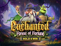 Enchanted Forest Of Fortune